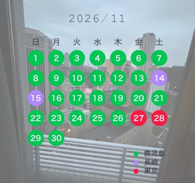 HIRO(ヒロ) 11月出張表