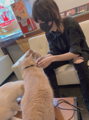 REONA(ﾚｵﾅ) 猫カフェ