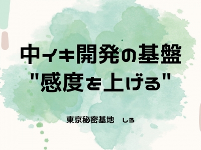 SHIRO(ｼﾛ) 中イキ開発の基盤、"感度を上げる"