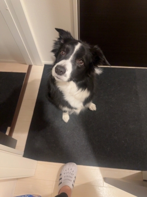 ATSUMU（ｱﾂﾑ） 刺さった言葉