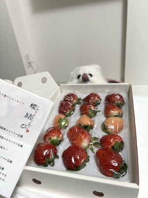 REN(レン) 好きな食べ物は果物