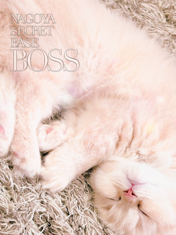 BOSS(ﾎﾞｽ)