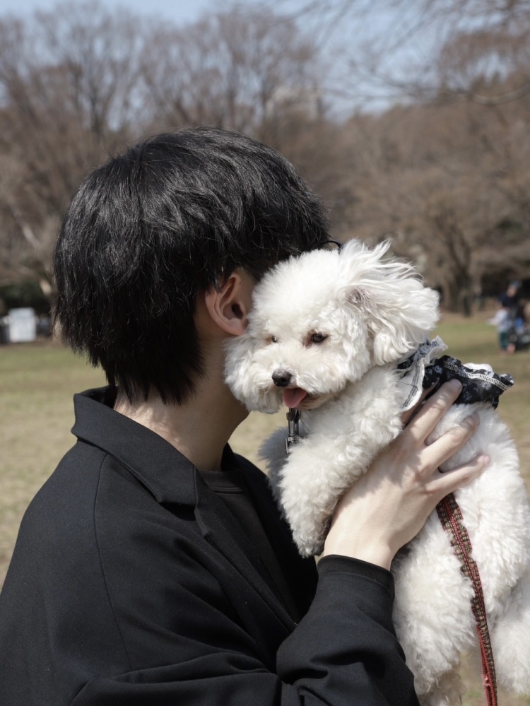 MASH(マッシュ)