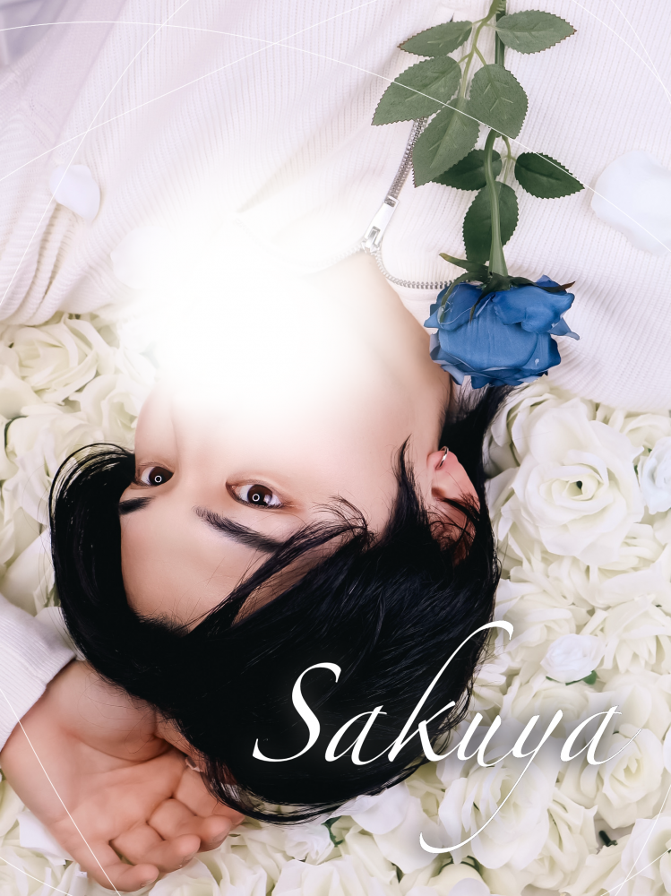 SAKUYA(ｻｸﾔ)