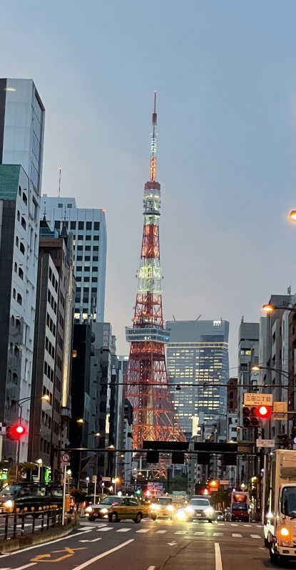 NAGISA(ﾅｷﾞｻ) #7 東京タワー🗼なぎさです