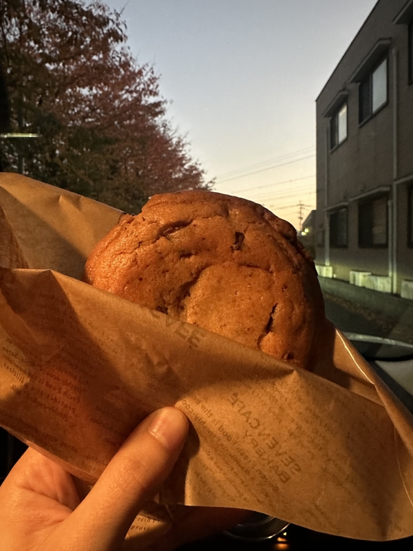 SATUKI（サツキ） 見つけた！