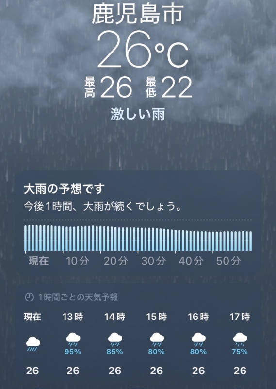 REKI(レキ) 本日6/24