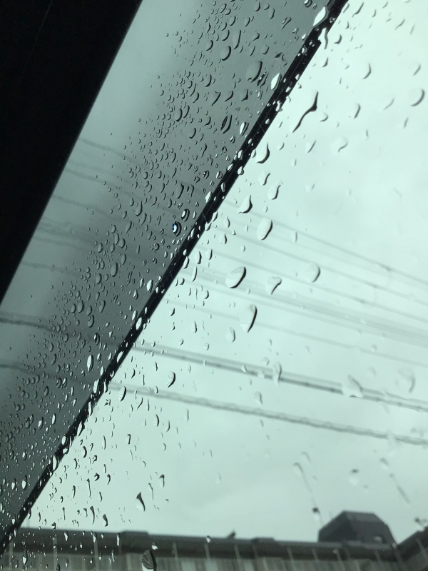 TOUYA(ﾄｳﾔ) 一日中雨っぽいですね