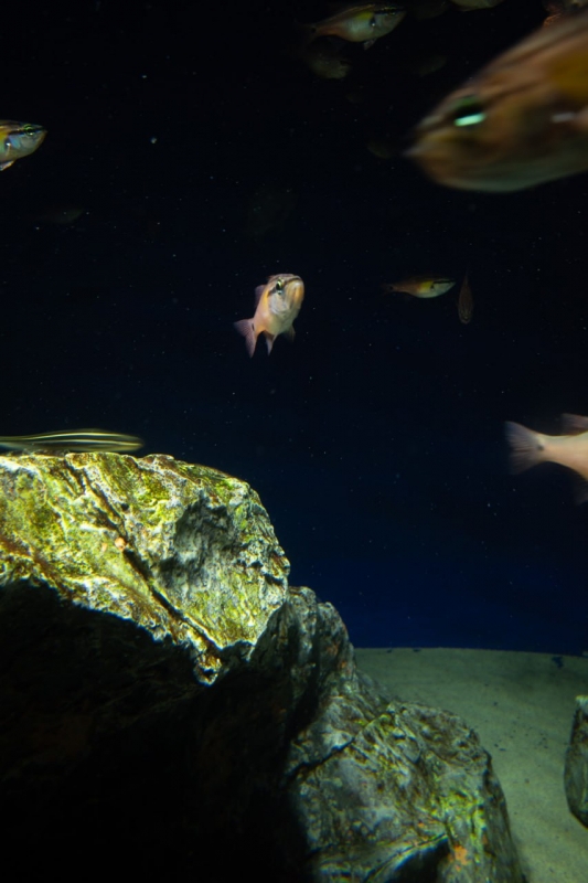 KANNA(ｶﾝﾅ) 息が合う瞬間