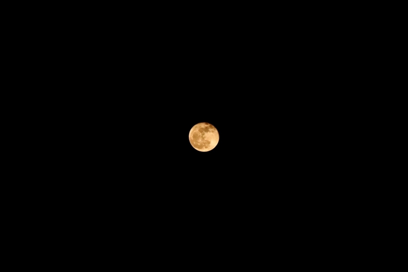 TSUKISHIMA(ﾂｷｼﾏ) 🌕4月 満月 