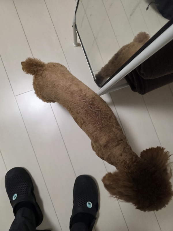 SEIICHIRO(ｾｲｲﾁﾛｳ) 本日限定のお願い