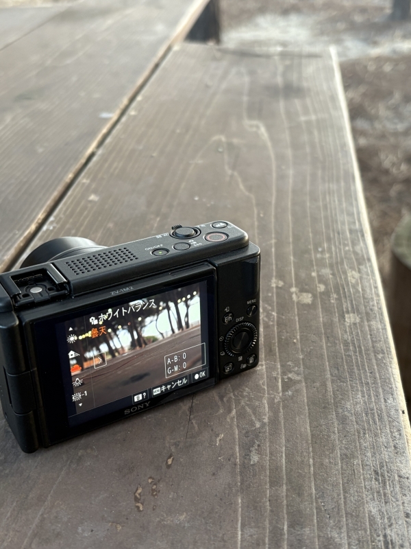 MASH(マッシュ) ホワイトバランスをいじってみる📷