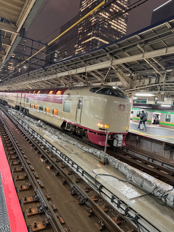 ARASHI(ｱﾗｼ) 【🚃】