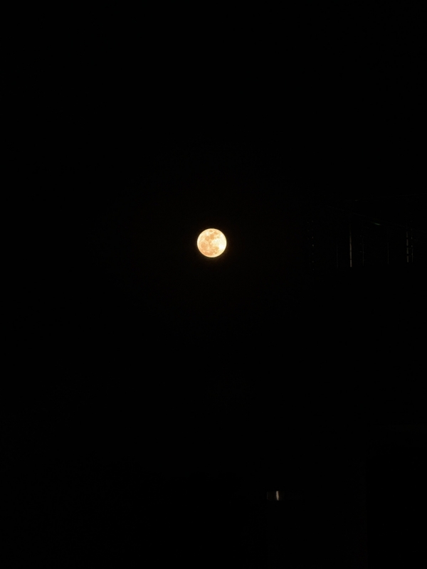 UTTY(ウッチー) 満月🌕