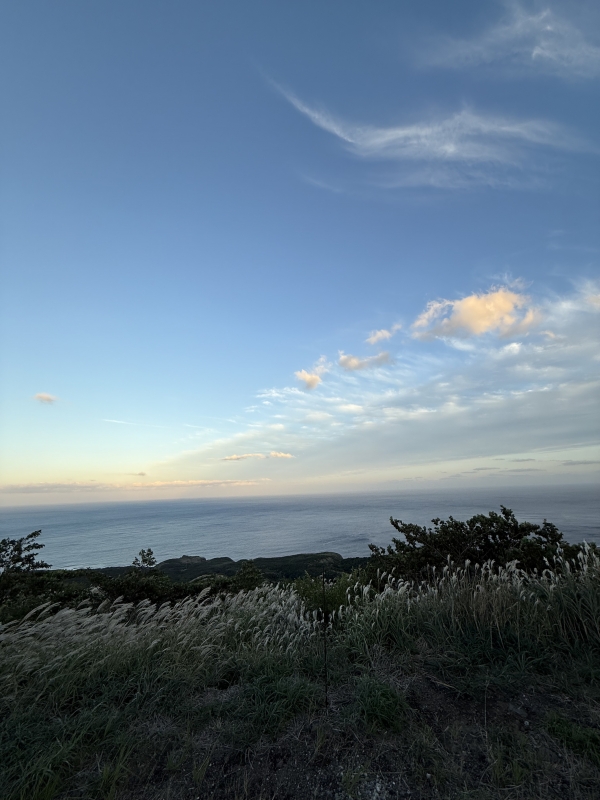 ARASHI(アラシ) 【マイイベント】