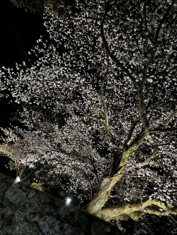 ASAHI(アサヒ) お出かけ
