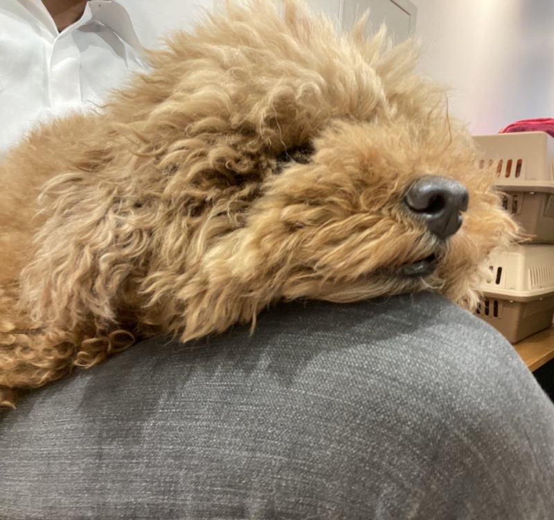 NARUMI(ﾅﾙﾐ) 人から出る香り