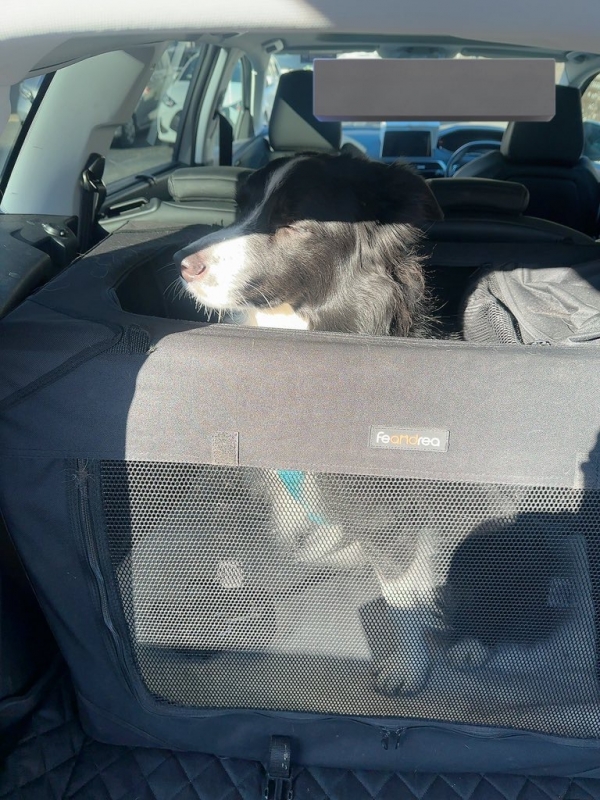 ATSUMU（ｱﾂﾑ） おでけけ