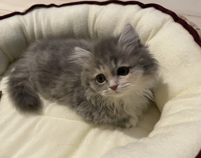 HIO(ﾋｵ) 4月もよろしくお願いします🌸