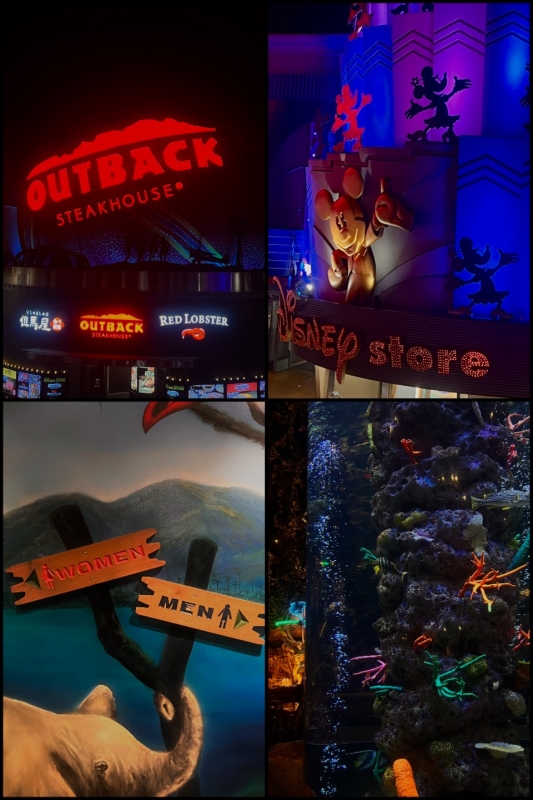 RITSUYA(リツヤ) イクスピアリ☕✧