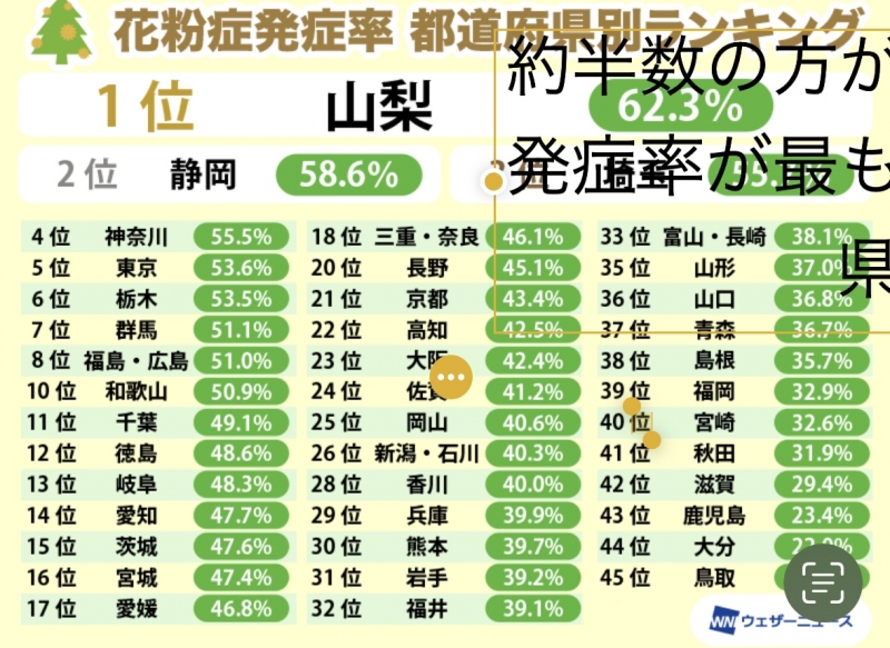 SATSUKI(ｻﾂｷ) 山梨県1位