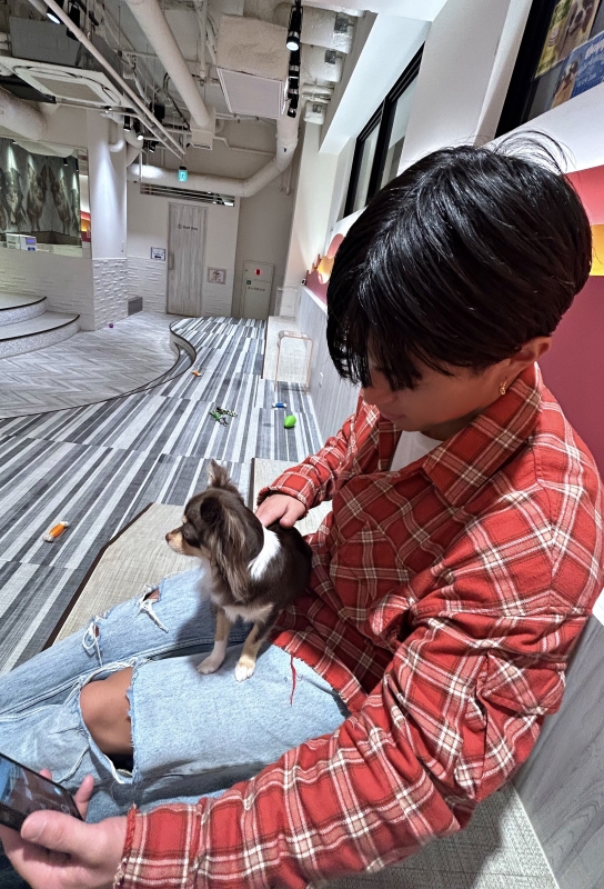 KOJIRO(コジロウ) 癒