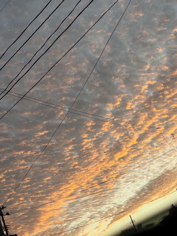 RUI（ﾙｲ） 冬が近づいてる