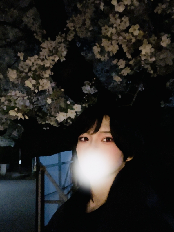 REIA(レイア) 夜桜に恋した夜