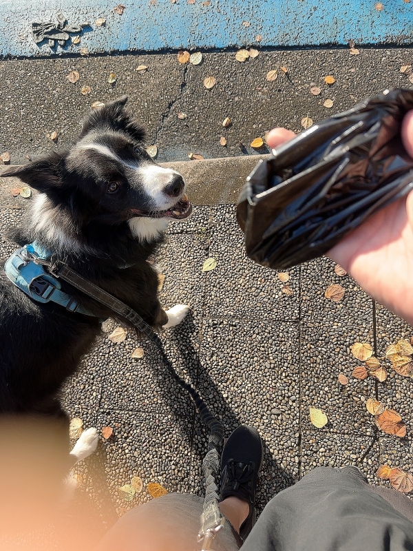 ATSUMU(アツム) 健康診断