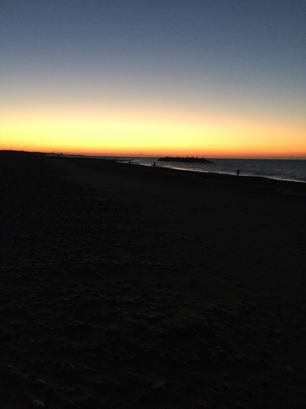 MISAKA(ﾐｻｶ) ヒカリ