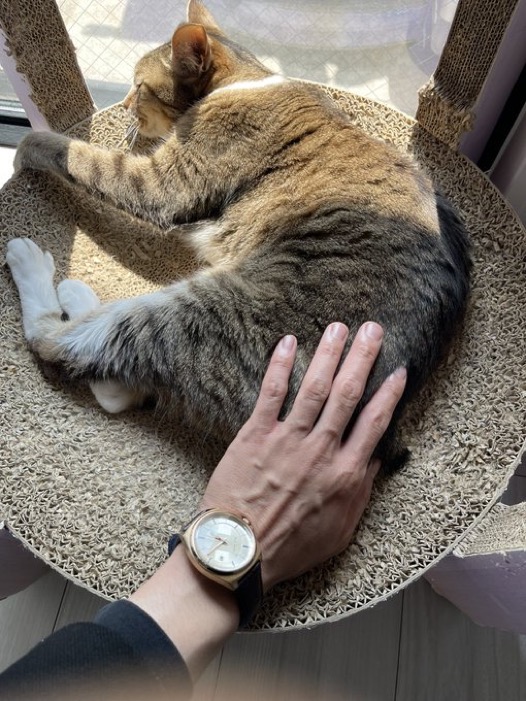 MINORI(ﾐﾉﾘ) 毛だらけ(幸せ)