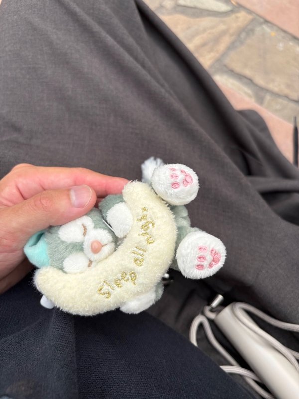 MASH(マッシュ) 永遠のジェラトーニ推し。