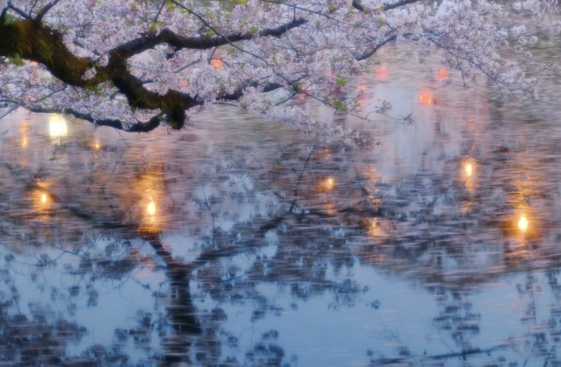 KAREN(ｶﾚﾝ) 桜の時期