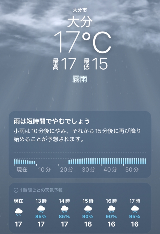 MIRAI(ミライ) 雨