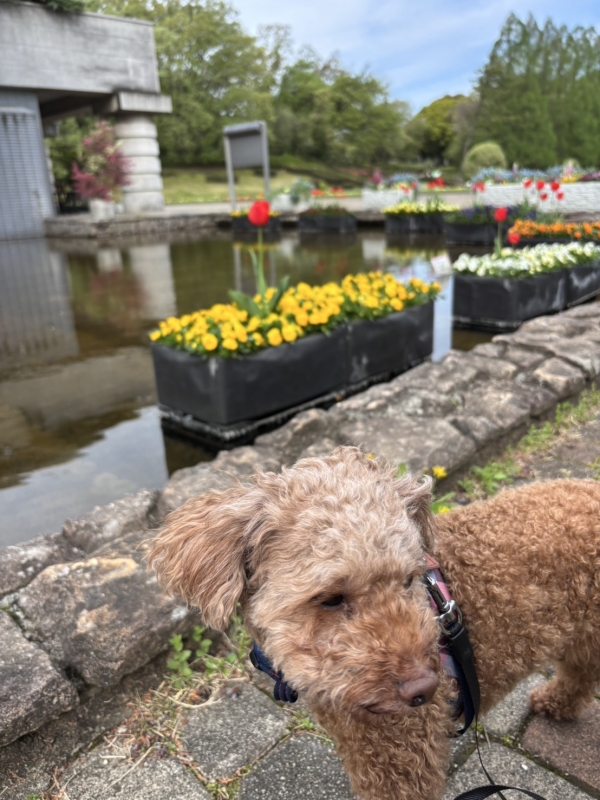 ASUMURA(アスムラ) 今日は22時すぎにツイキャス予定です!
