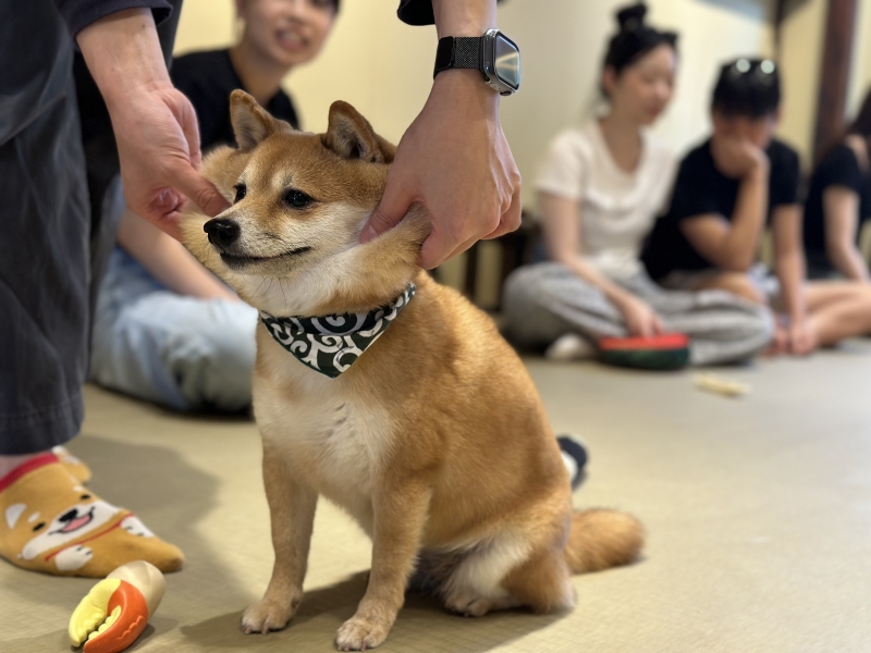 KIRITO(ｷﾘﾄ) 復活