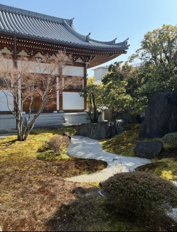 HANZO（ﾊﾝｿﾞｰ） 春