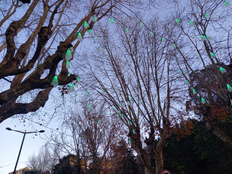 TETSUO(テツオ) ❤️