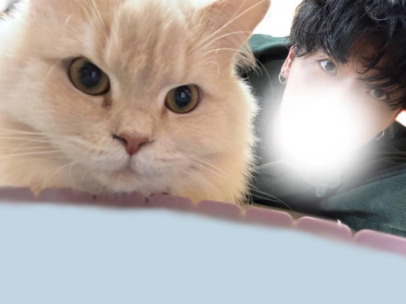 ATO(アト) にゃん🐾