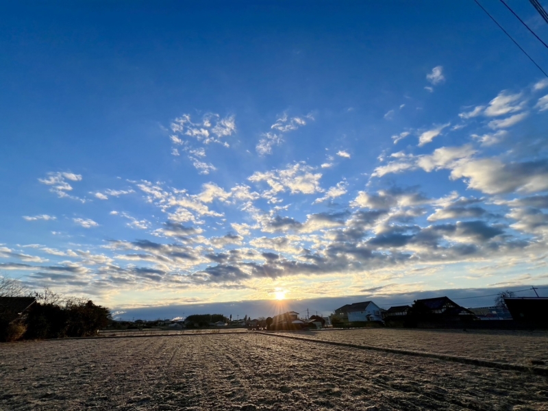 SHU(ｼｭｳ) 🎍✨ あけましておめでとうございます ✨🎍