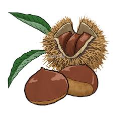 RUI(ルイ) お勉強会