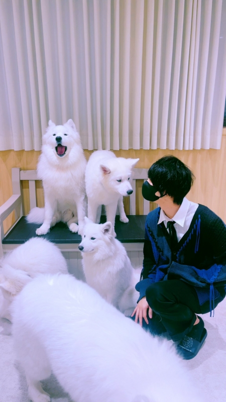 MAFUYU(マフユ) 動物の癒し効果とても凄いです…!!