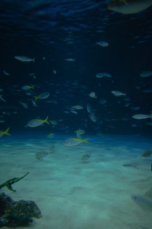 KANNA(カンナ) 「なんでもない時間」