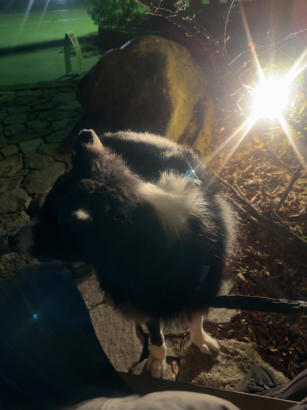 ATSUMU（ｱﾂﾑ） 今を生きる