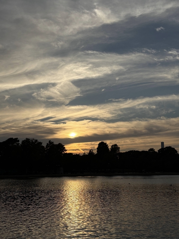 MASH(ﾏｯｼｭ) 水元公園の夕焼け。