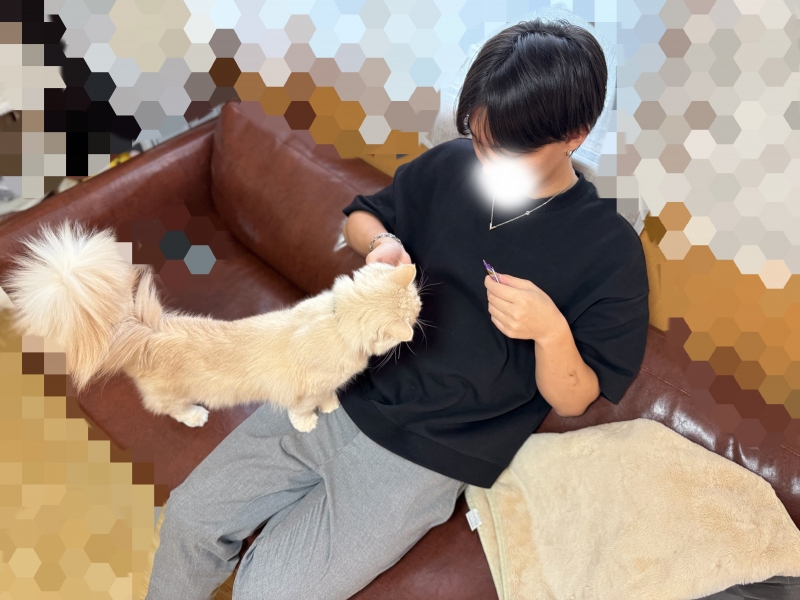 BOSS(ﾎﾞｽ) (^ට ‧̫ ට^)੭