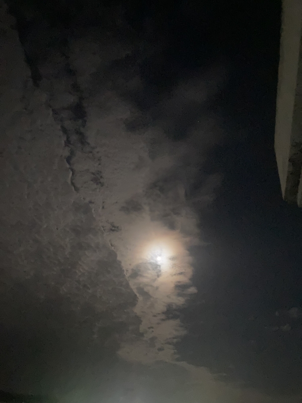 SOUTO(ソウト) こんばんは🌙