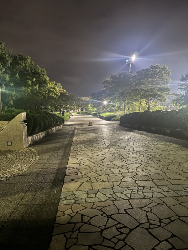 SOTA(ｿｳﾀ) 寝る前に