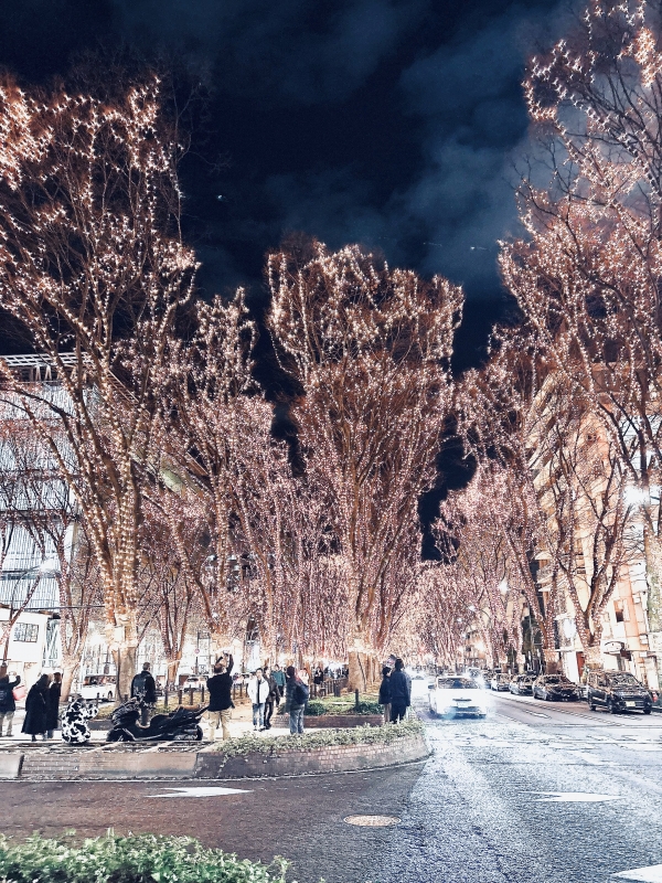 NAGOMI（ﾅｺﾞﾐ） やっぱイルミはいいよね