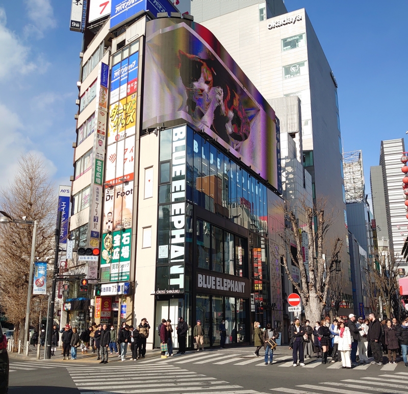 KOYOI(ｺﾖｲ) 生存確認